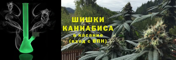 ПСИЛОЦИБИНОВЫЕ ГРИБЫ Баксан