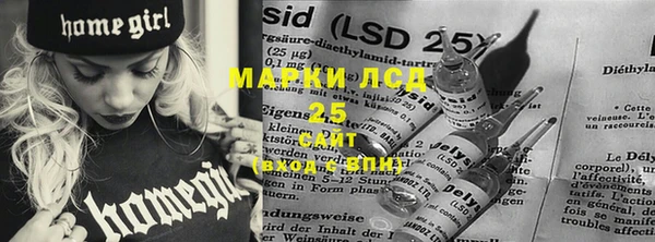ПСИЛОЦИБИНОВЫЕ ГРИБЫ Баксан