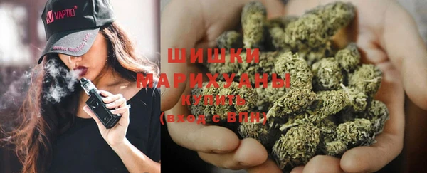 ПСИЛОЦИБИНОВЫЕ ГРИБЫ Баксан